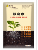 根腐康