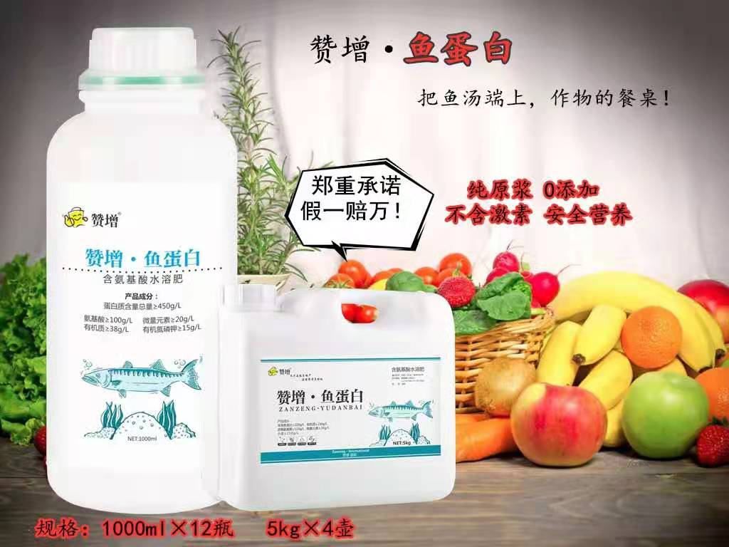 贊增.魚蛋白